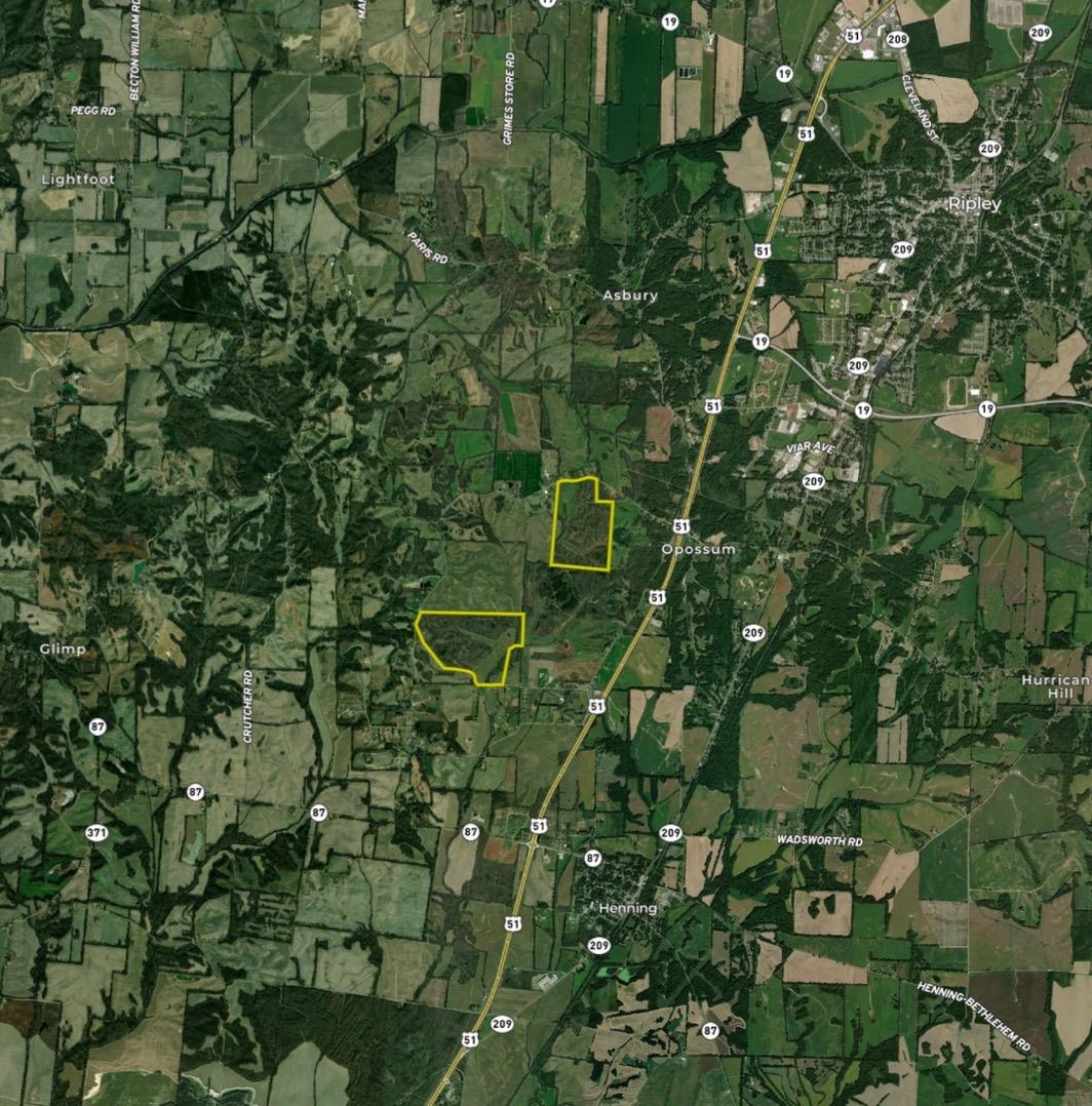 Faye Barfield Road Ripley, TN 38063 - Photo 3 of 34 a view of a plant in a garden