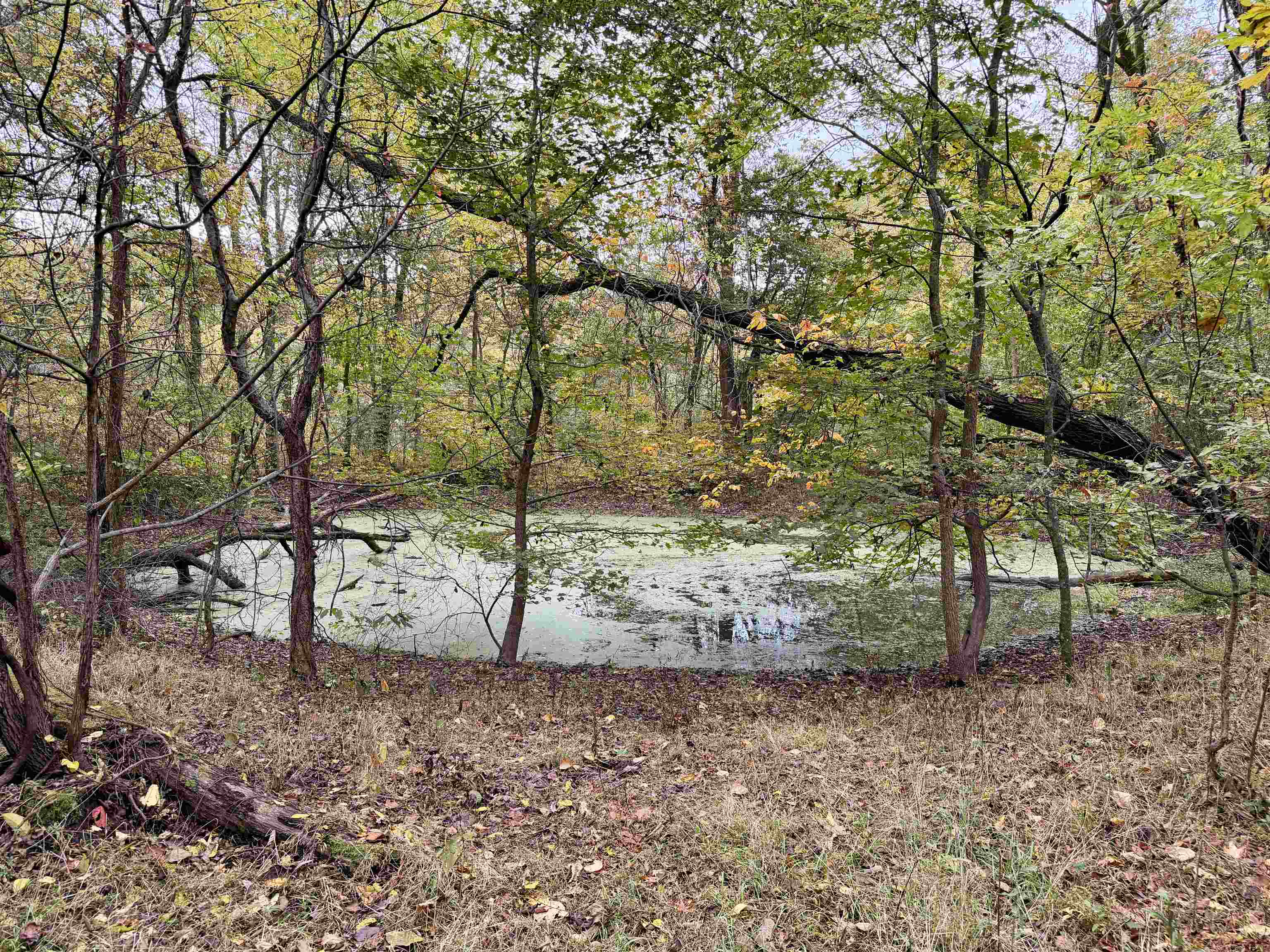 Faye Barfield Road Ripley, TN 38063 - Photo 34 of 34 a view of yard