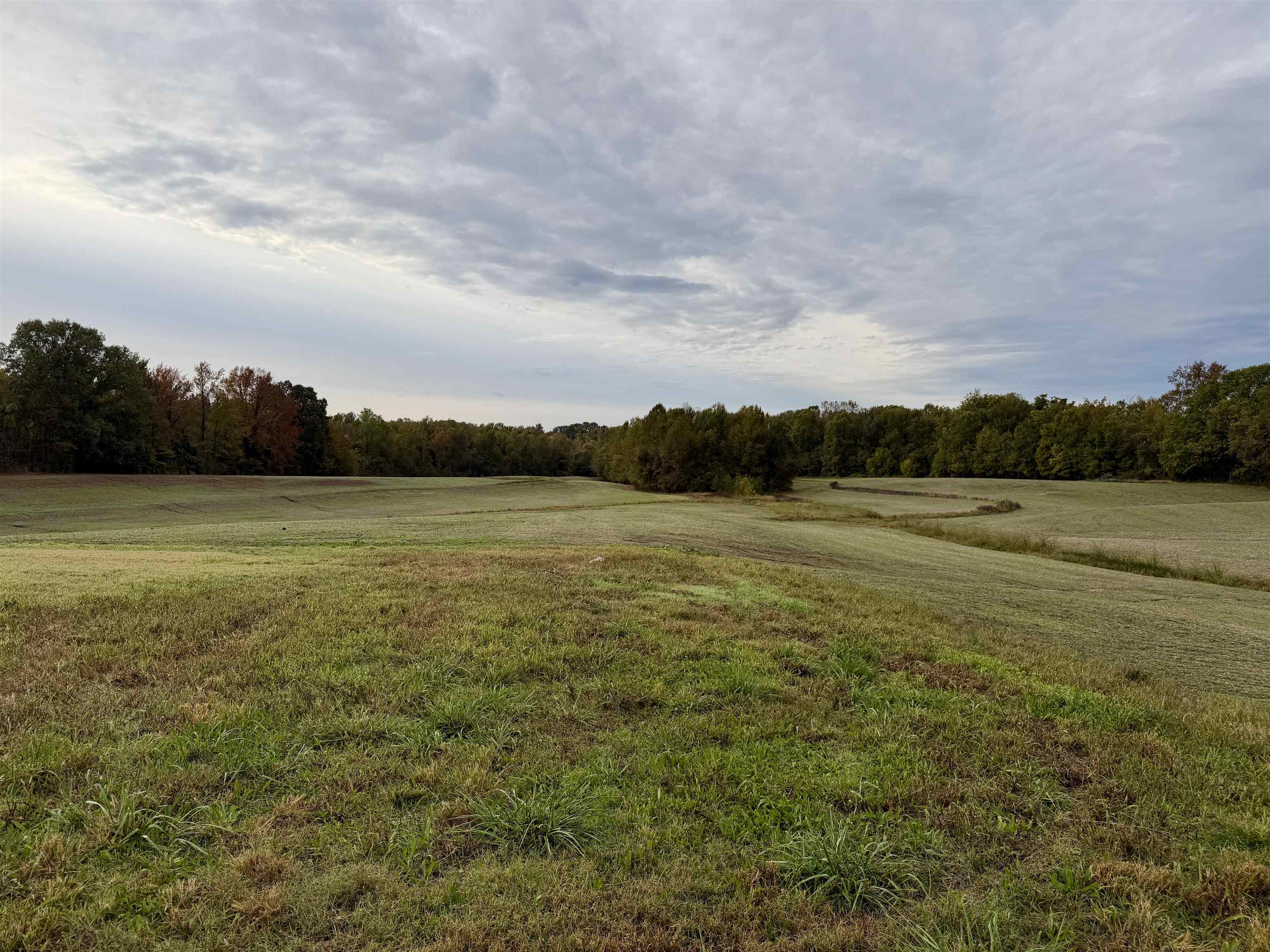 Faye Barfield Road Ripley, TN 38063 - Photo 5 of 34 a view of a lake