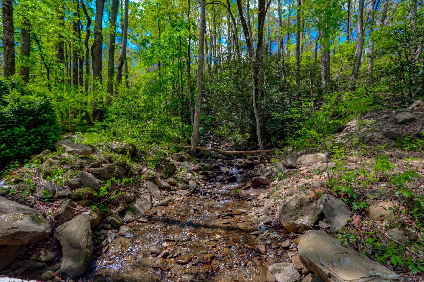 4207 Trail Hollow Road Cosby, TN 37722 - Photo 32 of 40 32.1