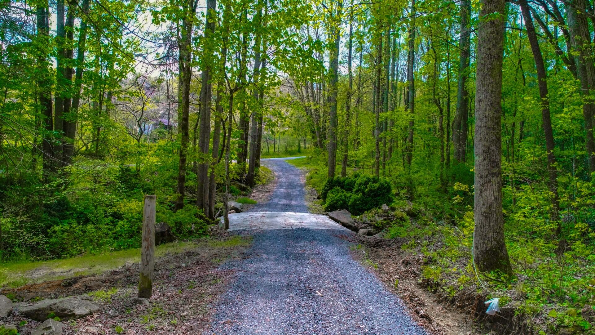 4207 Trail Hollow Road Cosby, TN 37722 - Photo 33 of 40 32
