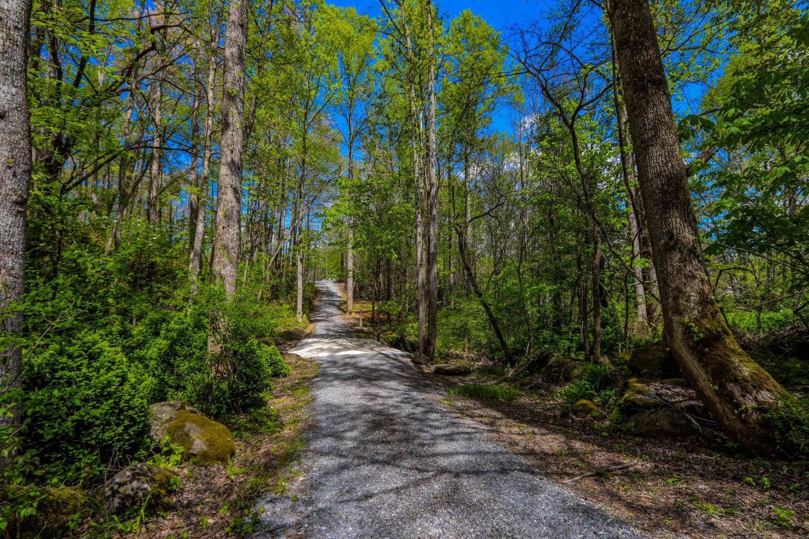 4207 Trail Hollow Road Cosby, TN 37722 - Photo 34 of 40 33