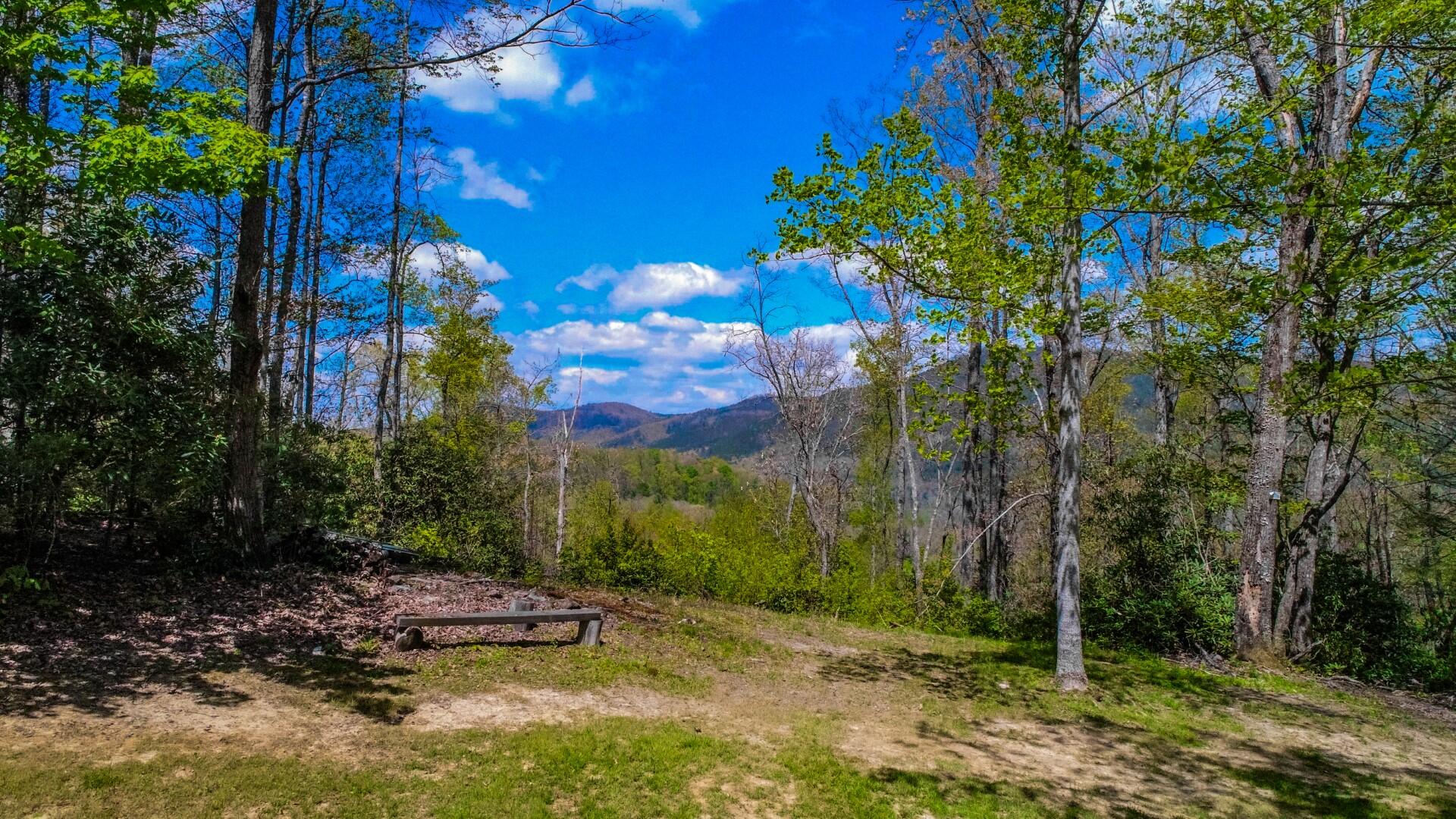 4207 Trail Hollow Road Cosby, TN 37722 - Photo 35 of 40 34