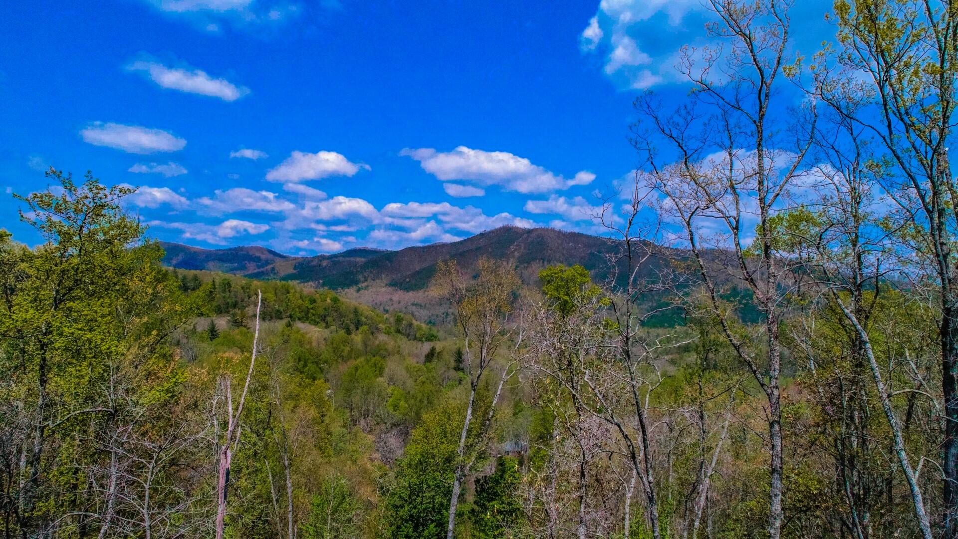 4207 Trail Hollow Road Cosby, TN 37722 - Photo 36 of 40 35