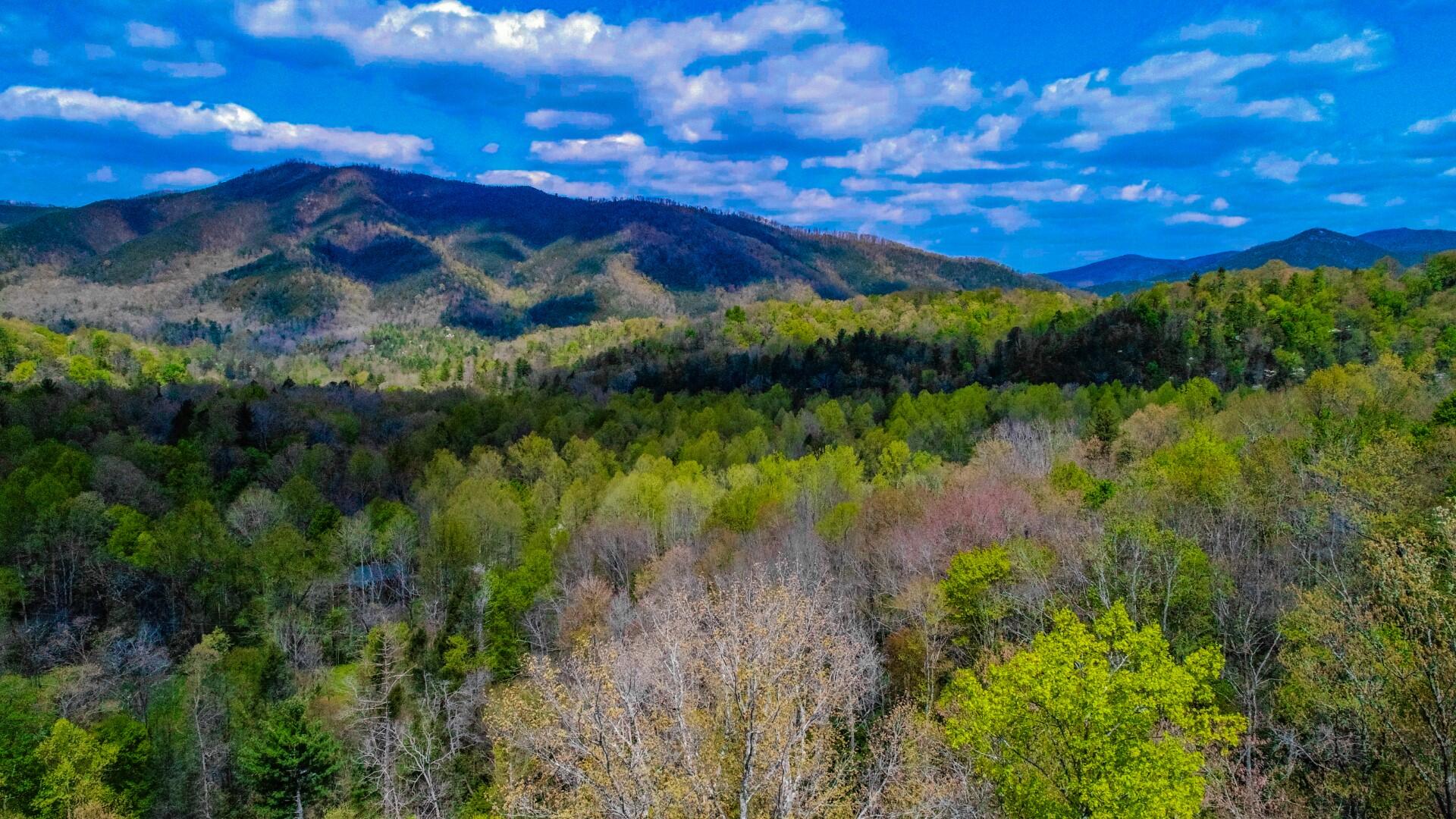 4207 Trail Hollow Road Cosby, TN 37722 - Photo 38 of 40 37