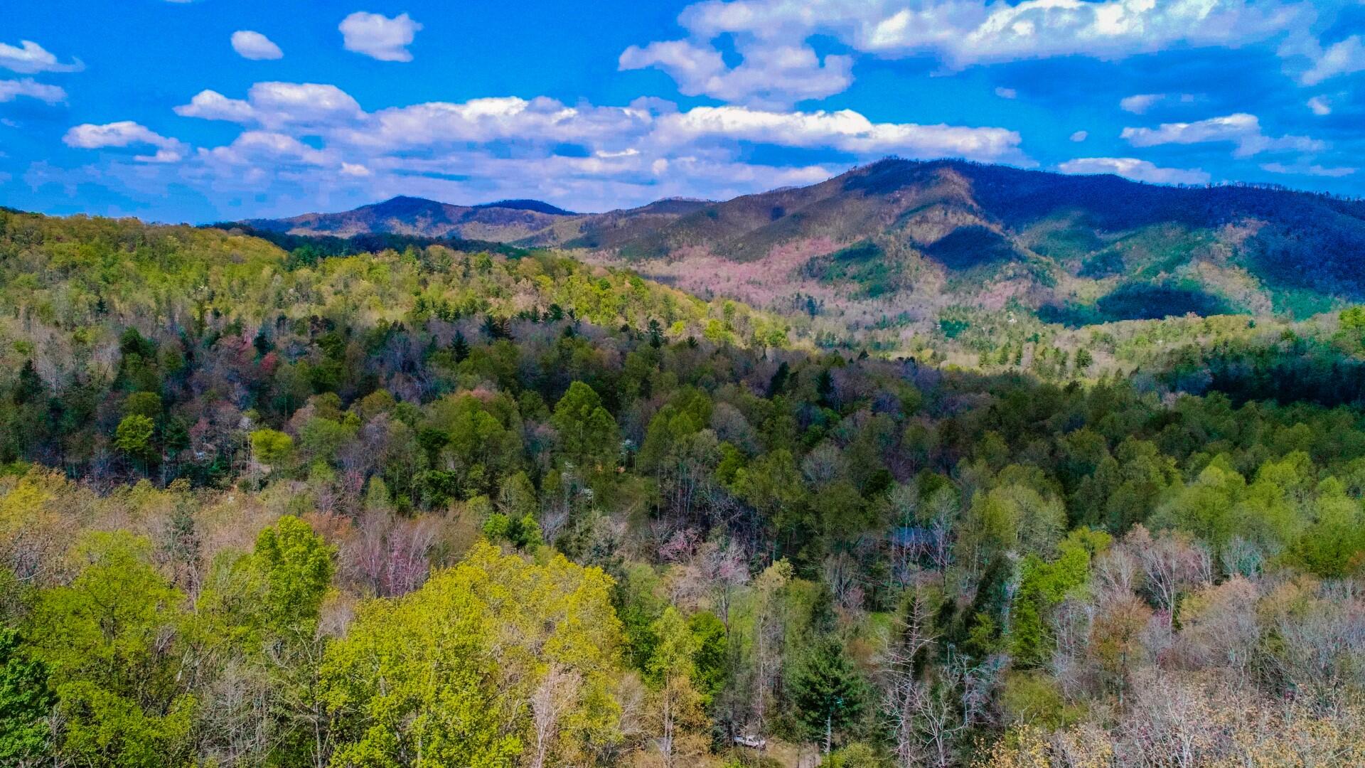 4207 Trail Hollow Road Cosby, TN 37722 - Photo 39 of 40 38