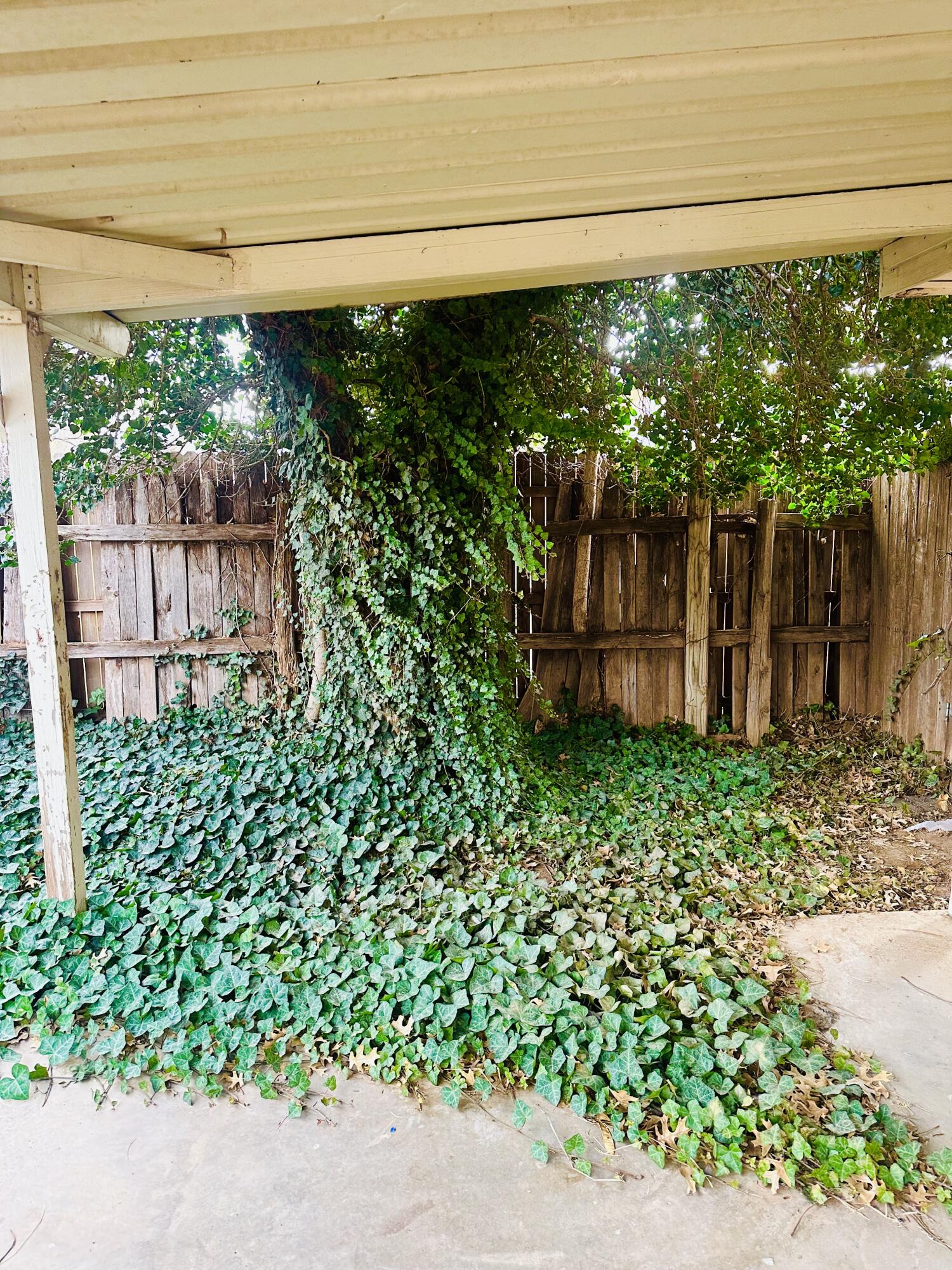 4918 14th Street Lubbock, TX 79416 - Photo 37 of 38 a view of a backyard with plants