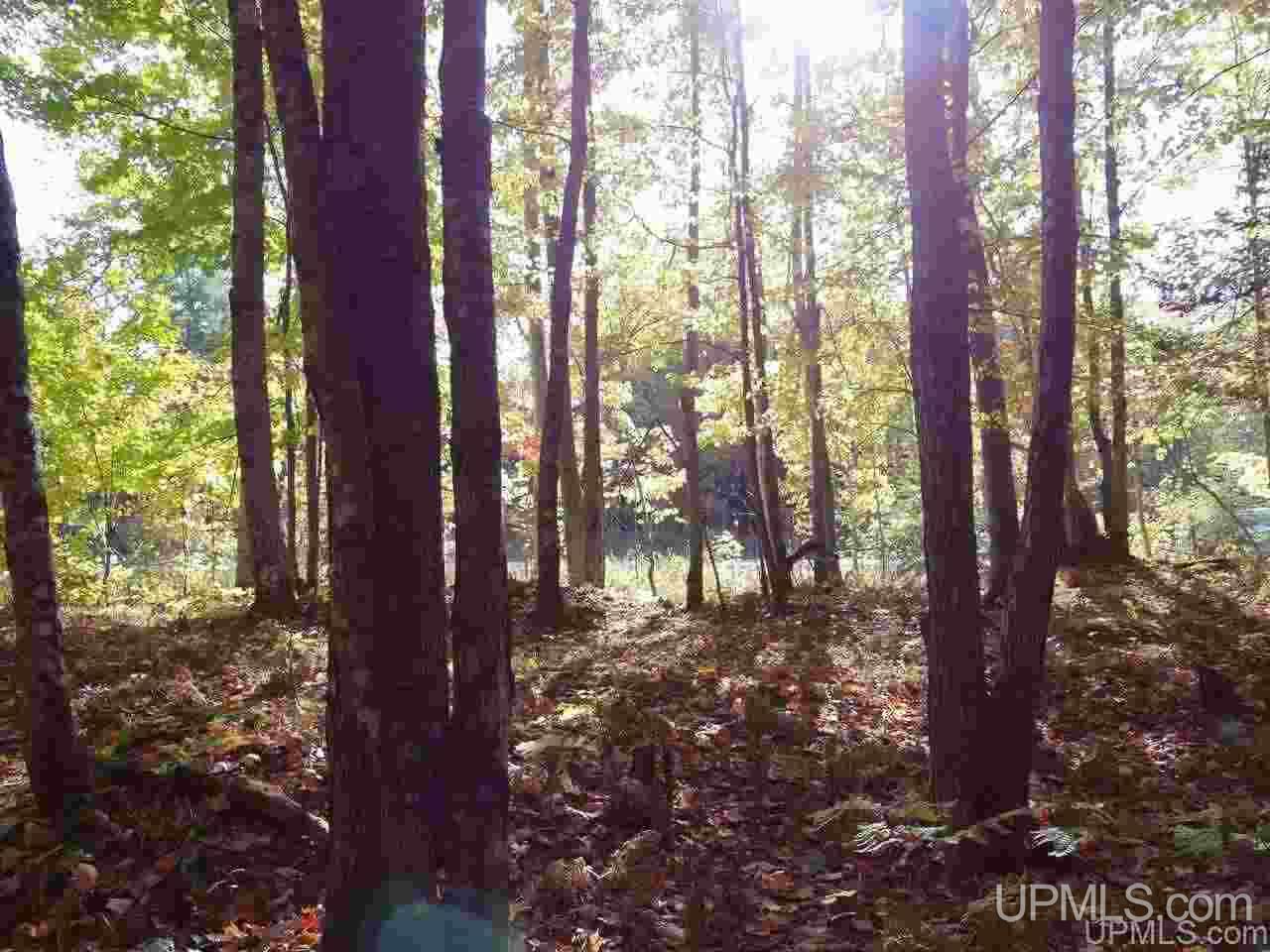 21637 Lower Skanee Road Skanee, MI 49962 - Photo 16 of 22 Gallery Image 16