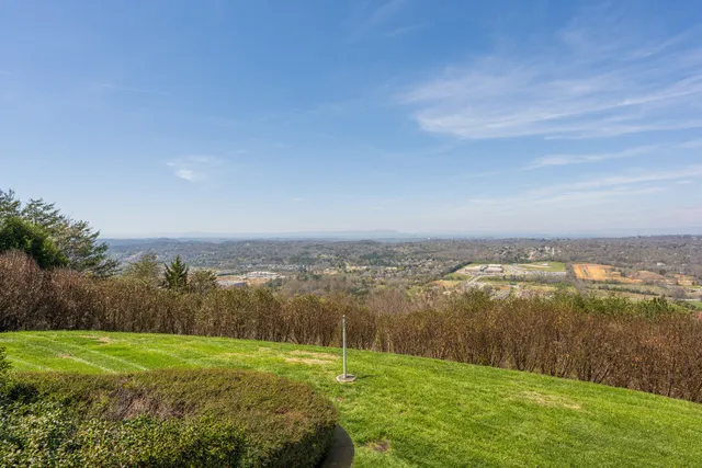 a view of a city with lush green forest