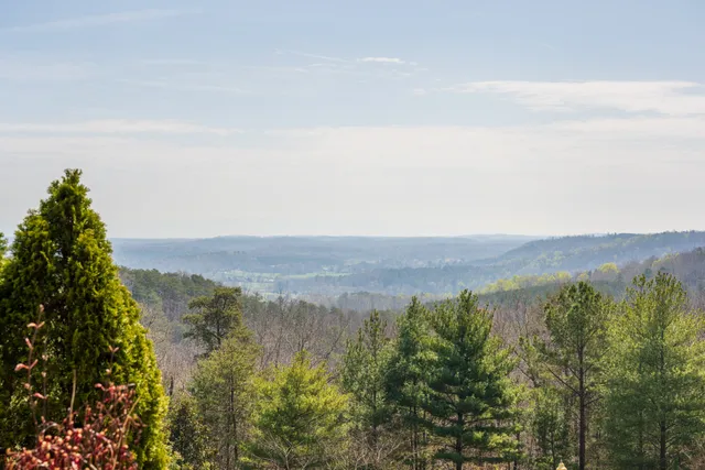 a view of a field with an ocean view