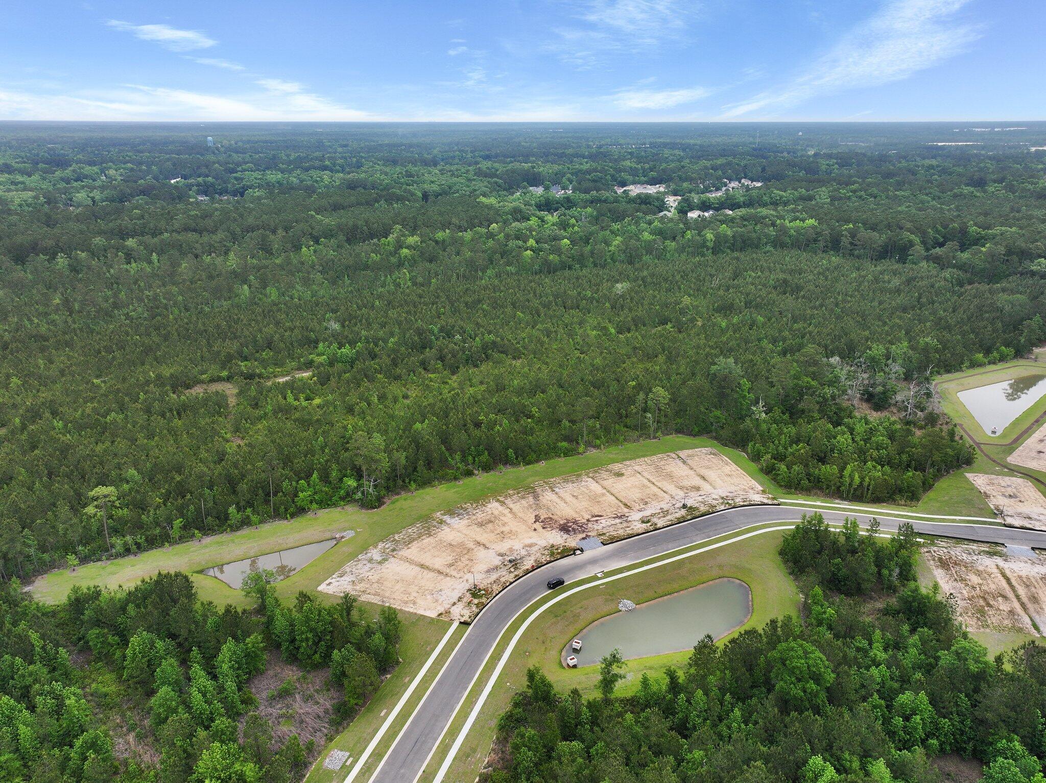 164 Grouper Lane Summerville, SC 29483 - Photo 5 of 48 29-web-or-mls-DJI_20250506101541_0129_D