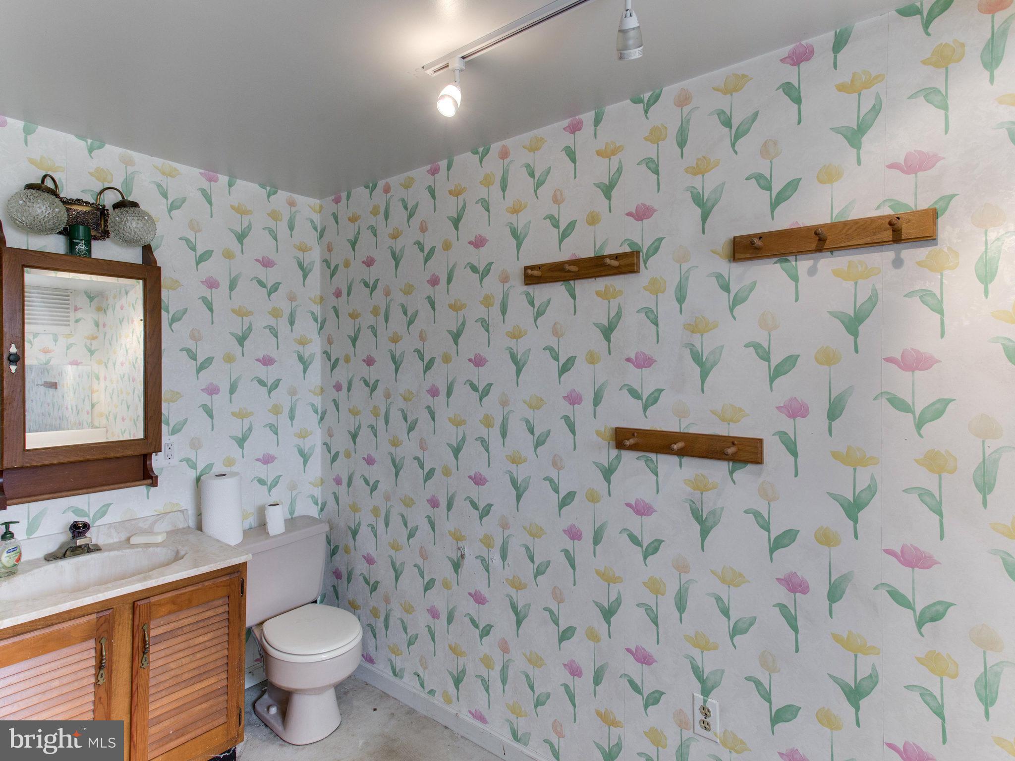 9929 Old Frederick Road Frederick, MD 21701 - Photo 27 of 30 Basement bath