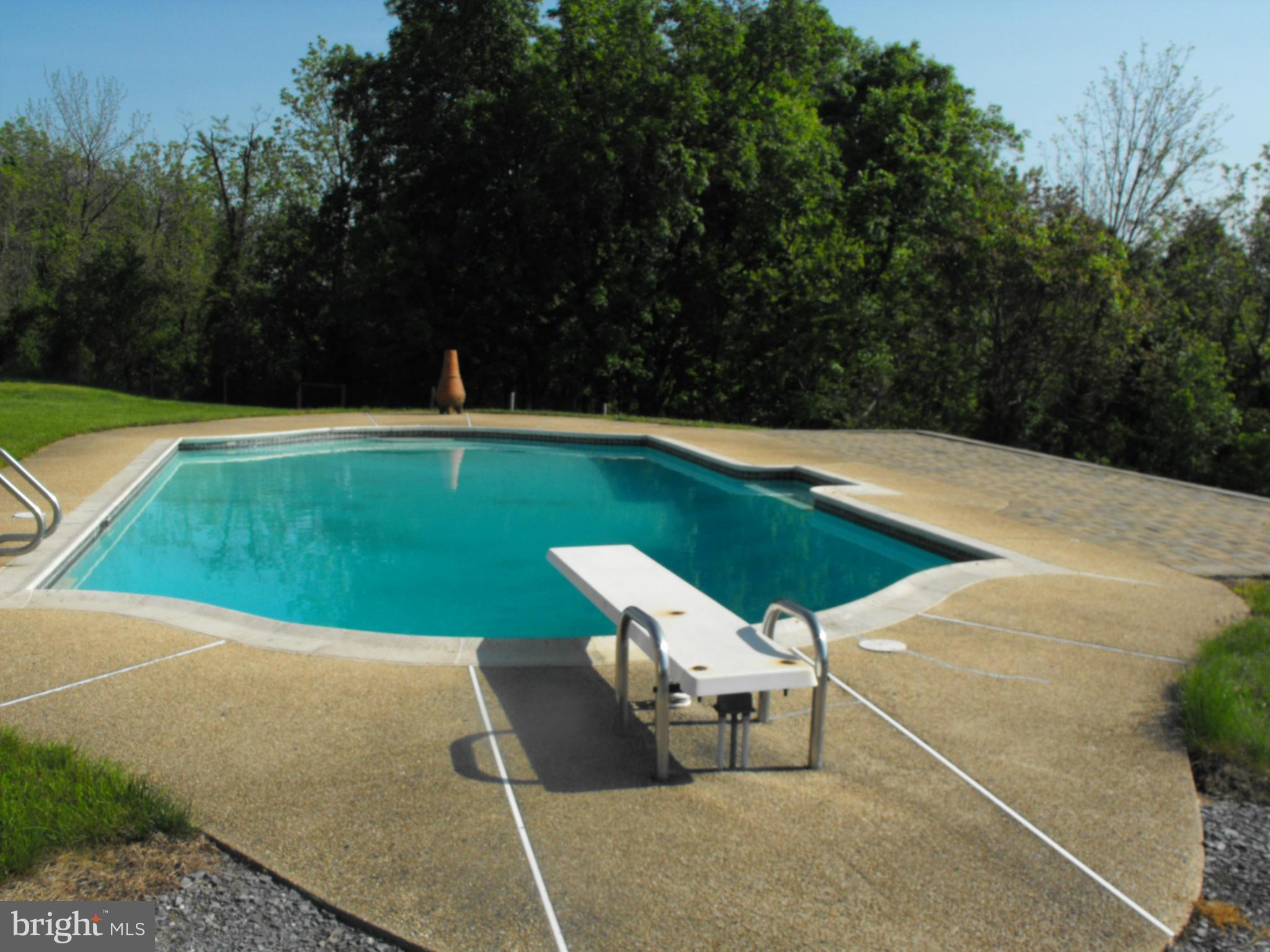 9929 Old Frederick Road Frederick, MD 21701 - Photo 30 of 30 Pool