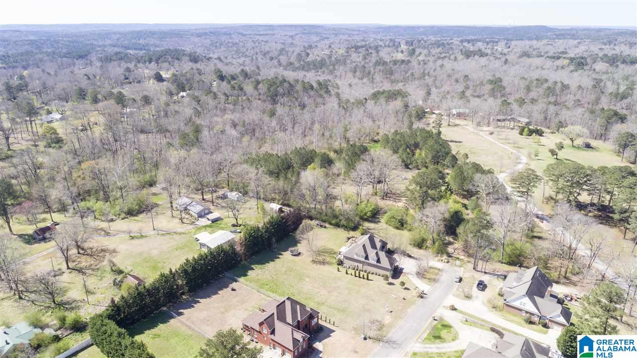 850 Rosemary Way Mount Olive, AL 35117 - Photo 3 of 12