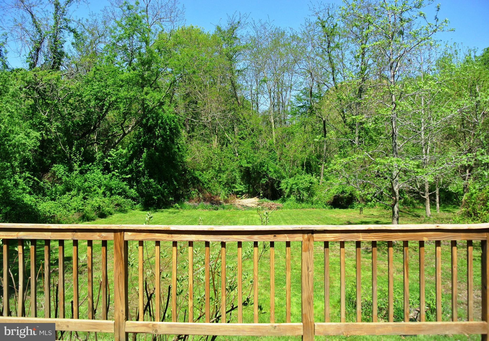 8848 Georgetown Road Chestertown, MD 21620 - Photo 13 of 16 View From Deck to Rear Yard/Woods