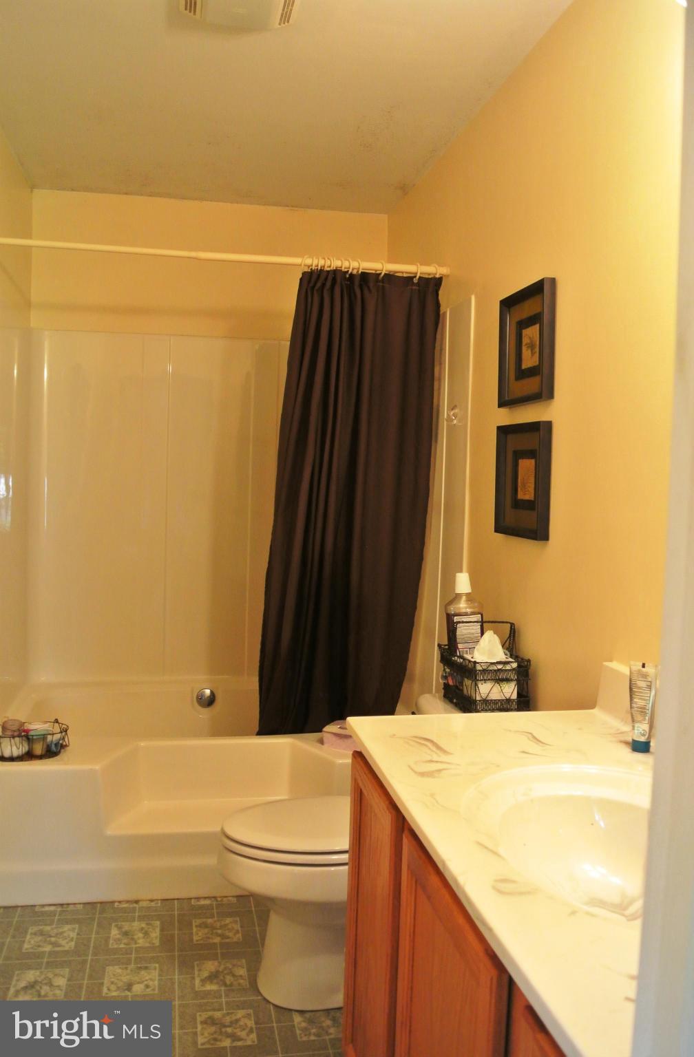 8848 Georgetown Road Chestertown, MD 21620 - Photo 8 of 16 Bath (Master)