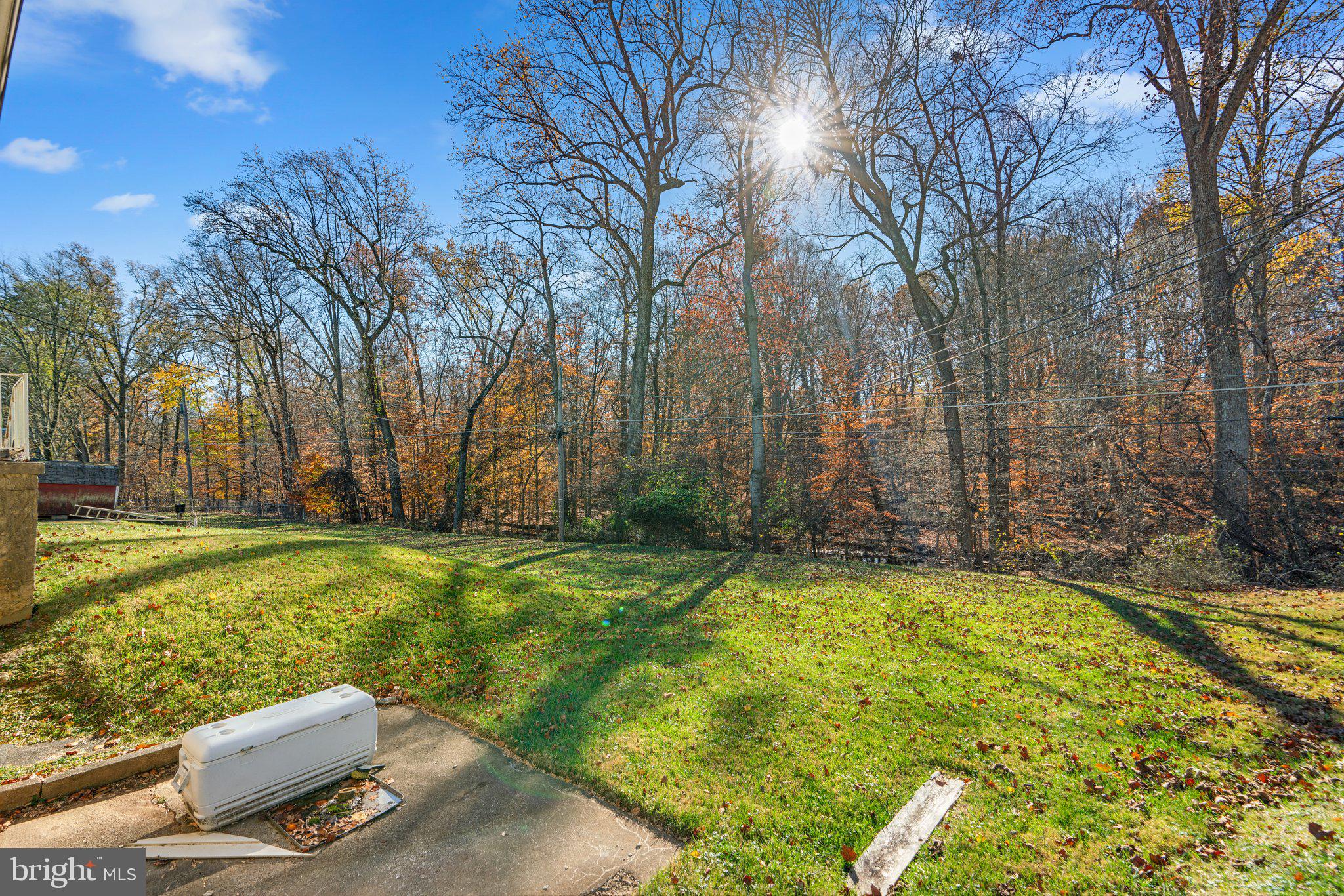 4727 Byron Road Windsor Mill, MD 21244 - Photo 29 of 35 a backyard of a house with a yard and trees