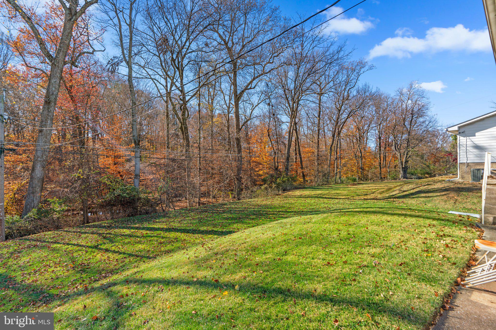 4727 Byron Road Windsor Mill, MD 21244 - Photo 33 of 35 a yard with trees in the background
