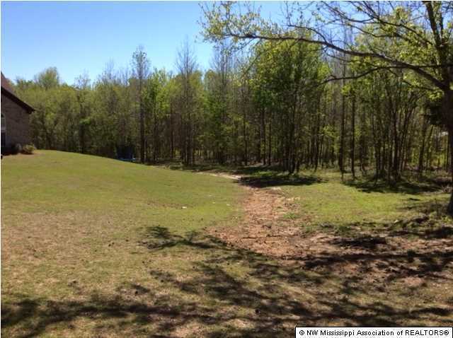 1680 Pryor Road Coldwater, MS 38618 - Photo 5 of 17 Additional Photo