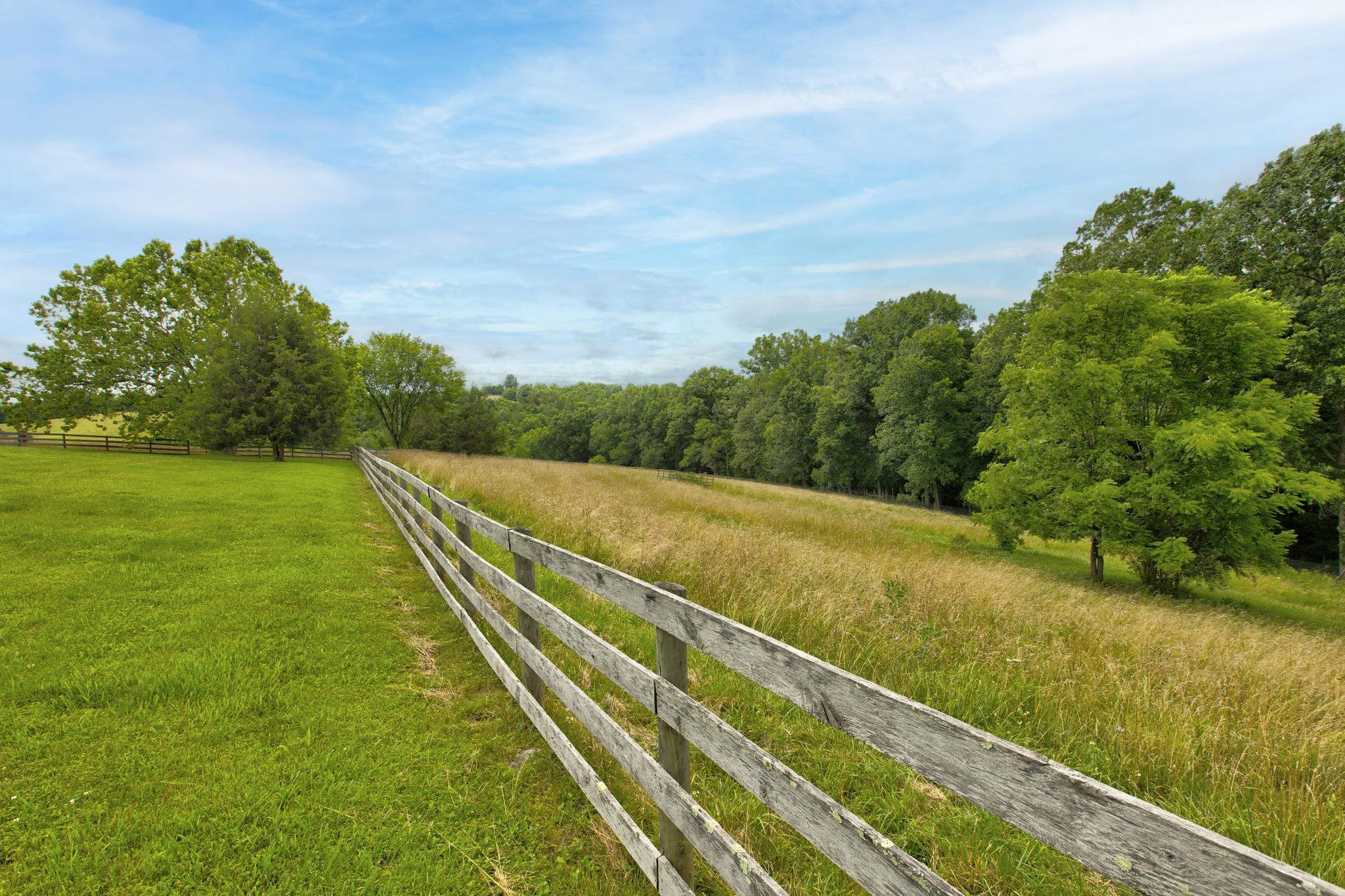 1736 Davis Road Sadieville, KY 40370 - Photo 28 of 33 261A9693_4_5-Edit