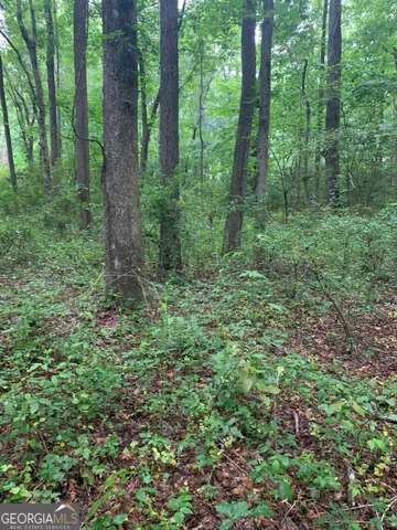 $115,000 | 7700 Poole Circle, Unit TRACT B, Alto, GA 30510