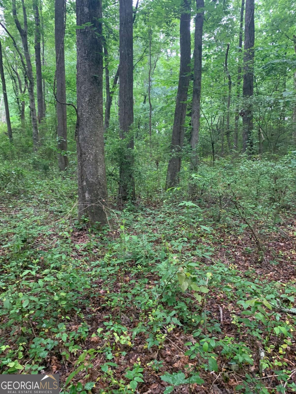 7700 Poole Circle, Unit TRACT B Alto, GA 30510 - Photo 1 of 10