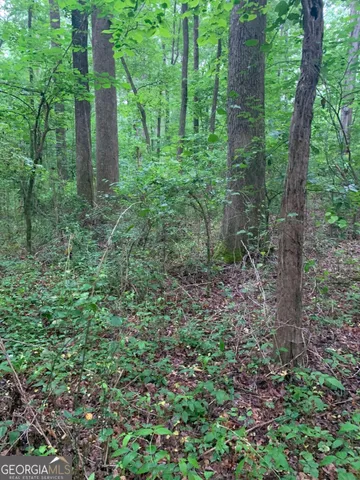 $115,000 | 7700 Poole Circle, Unit TRACT B, Alto, GA 30510