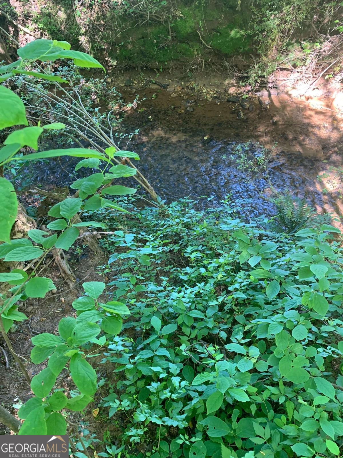 7700 Poole Circle, Unit TRACT B Alto, GA 30510 - Photo 6 of 10