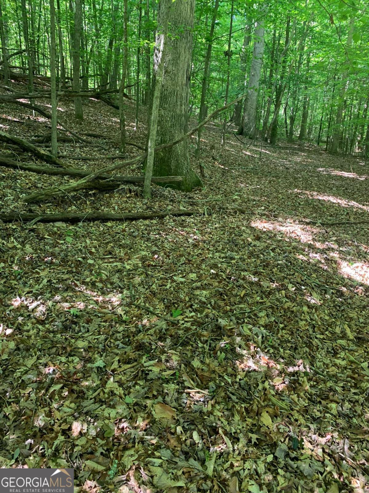 7700 Poole Circle, Unit TRACT B Alto, GA 30510 - Photo 7 of 10