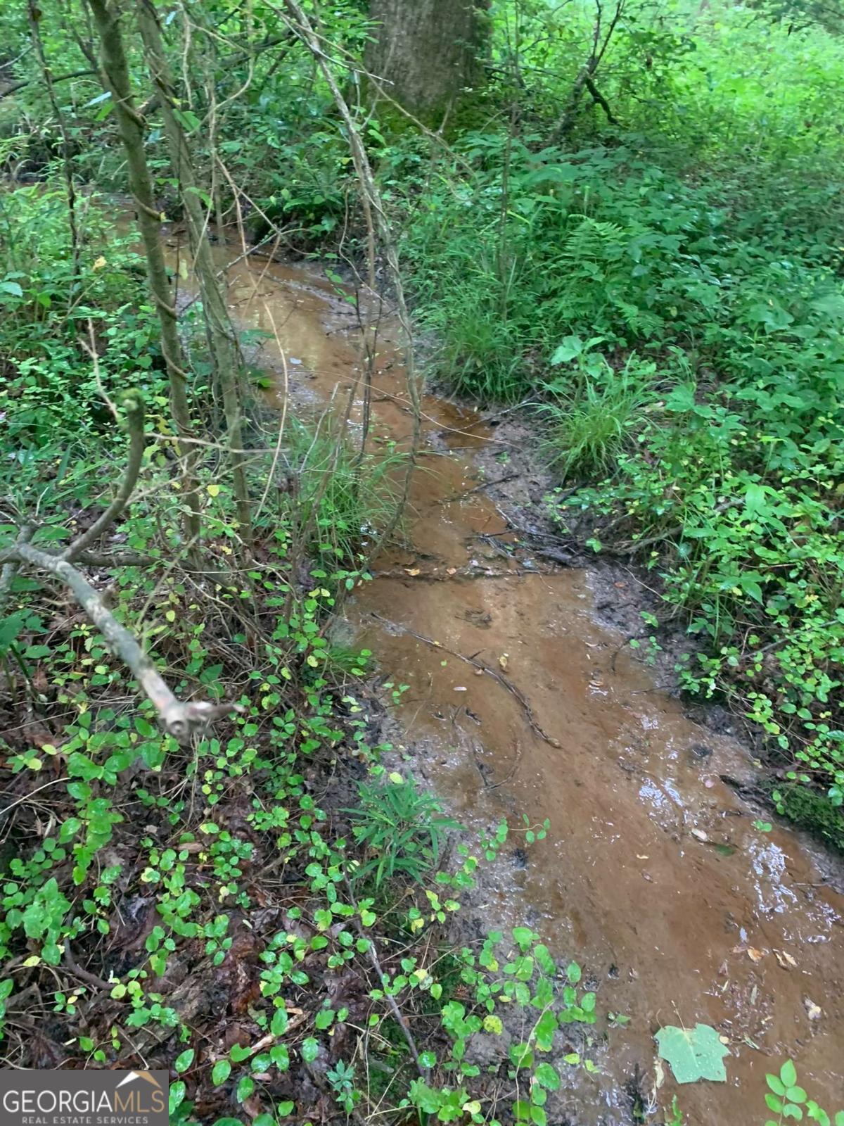 7700 Poole Circle, Unit TRACT B Alto, GA 30510 - Photo 8 of 10