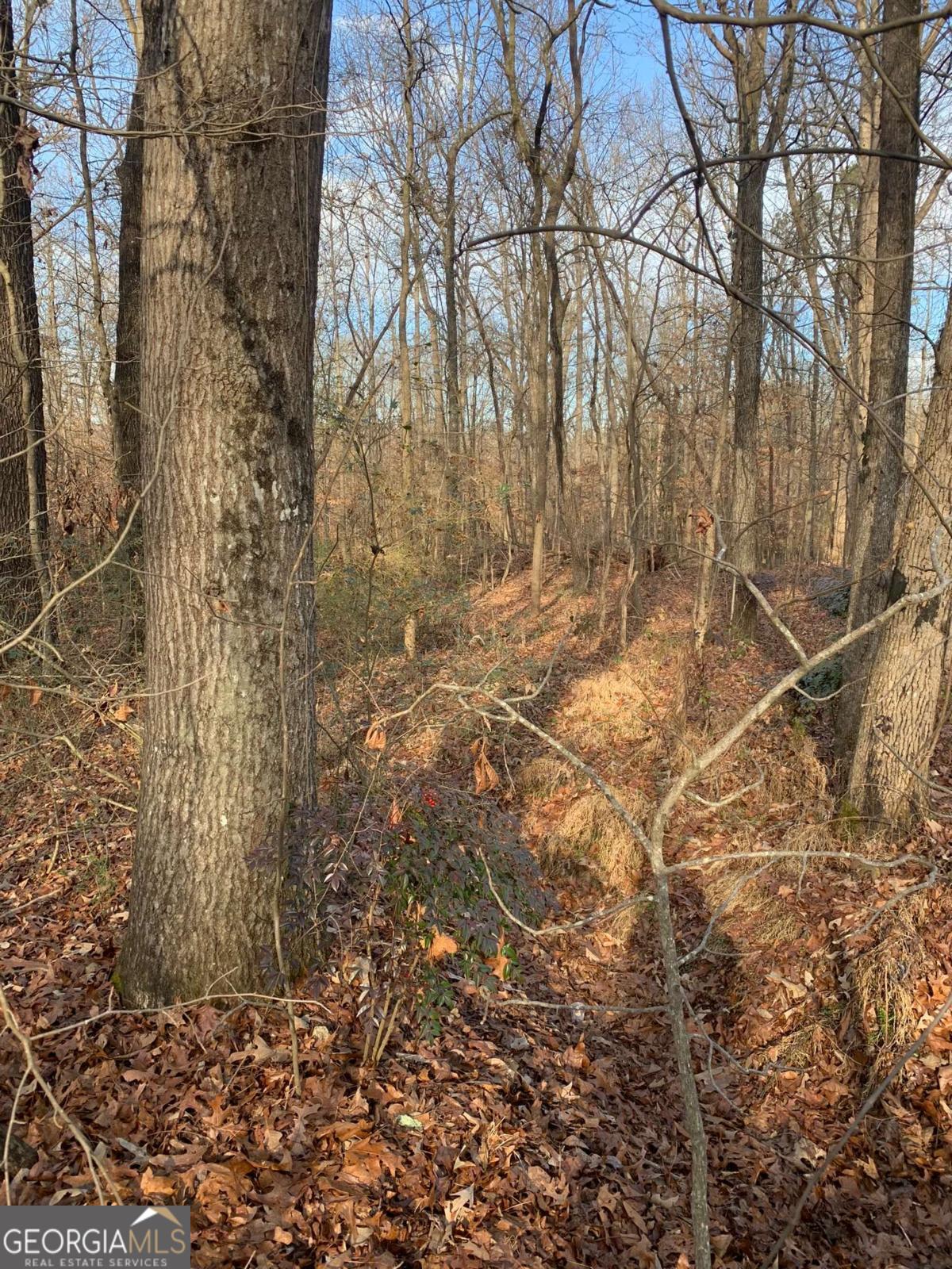 7700 Poole Circle, Unit TRACT B Alto, GA 30510 - Photo 9 of 10