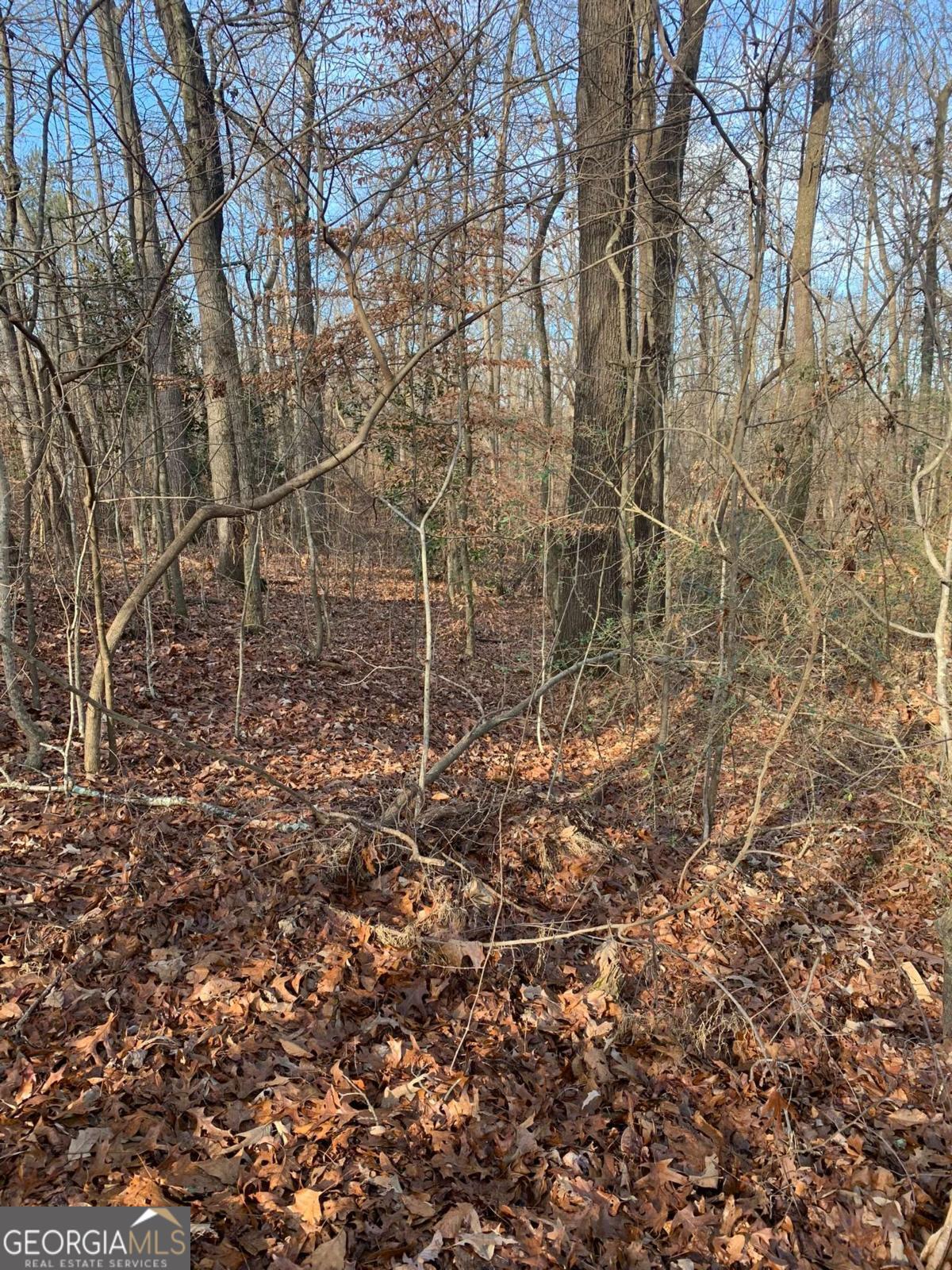 7700 Poole Circle, Unit TRACT B Alto, GA 30510 - Photo 10 of 10