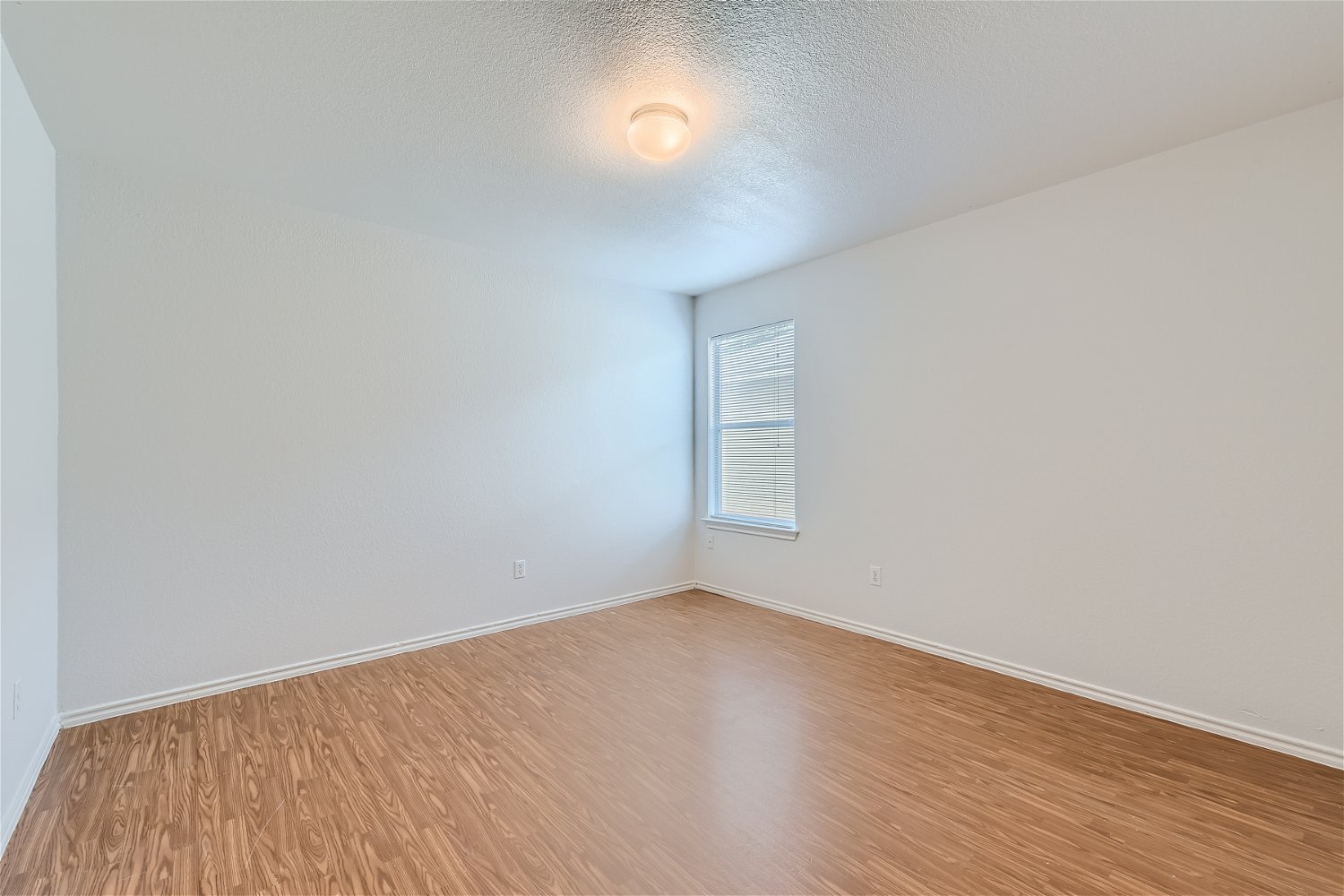 18408 Cloudmore Lane Elgin, TX 78621 - Photo 4 of 11 A well-lit room showcasing rich hardwood flooring and a single window.