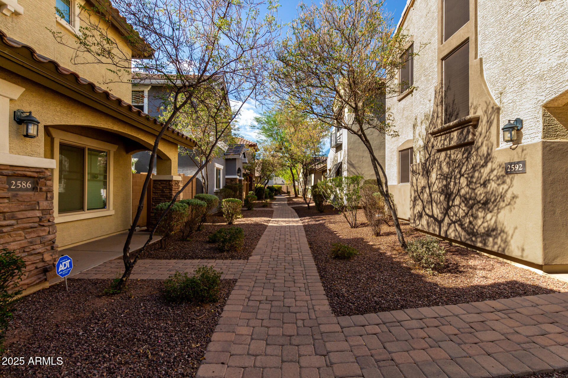 2594 East Boston Street Gilbert, AZ 85295 - Photo 6 of 45 06 - Boston