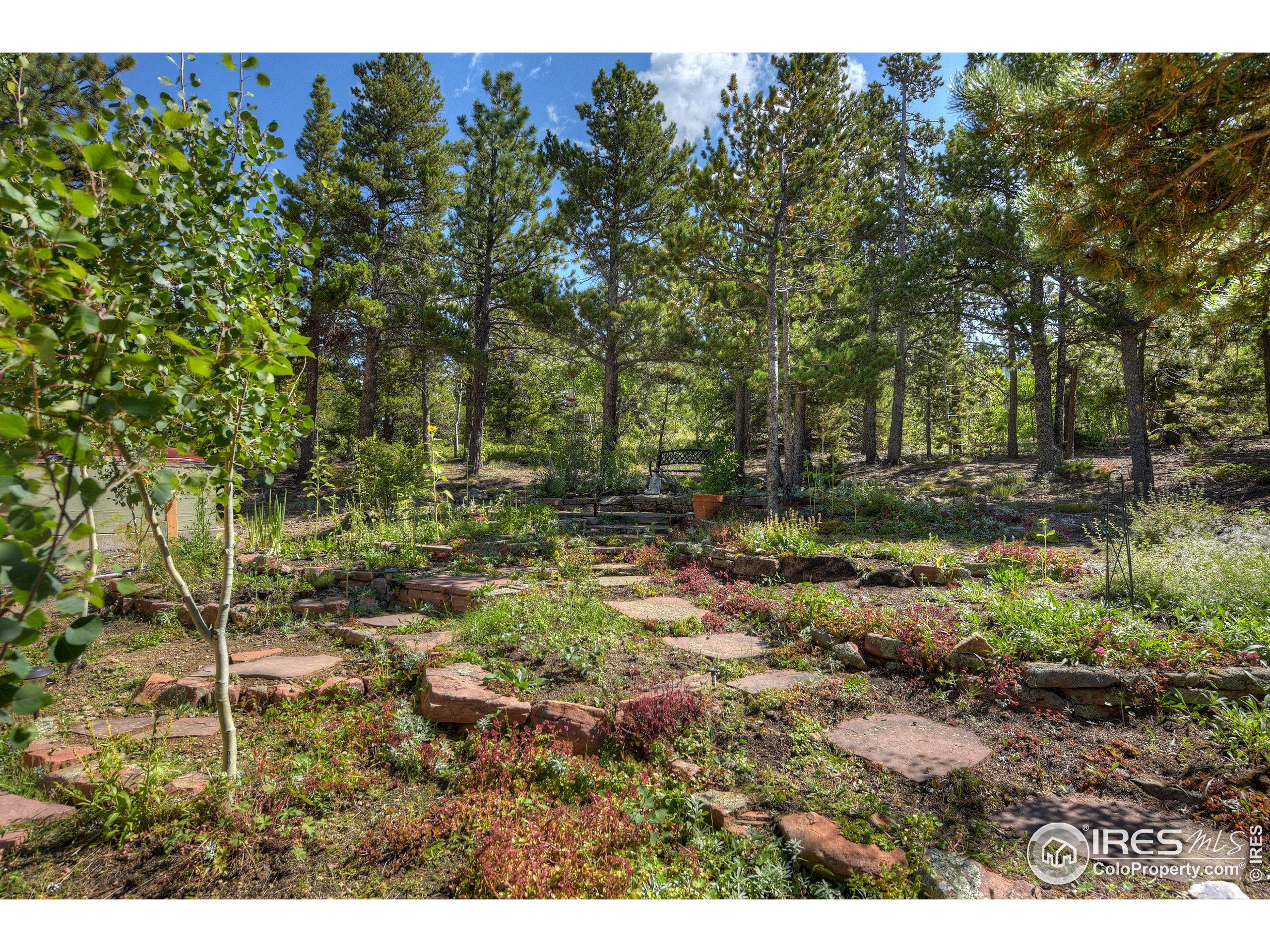 13 Wildewood Drive Nederland, CO 80466 - Photo 21 of 22