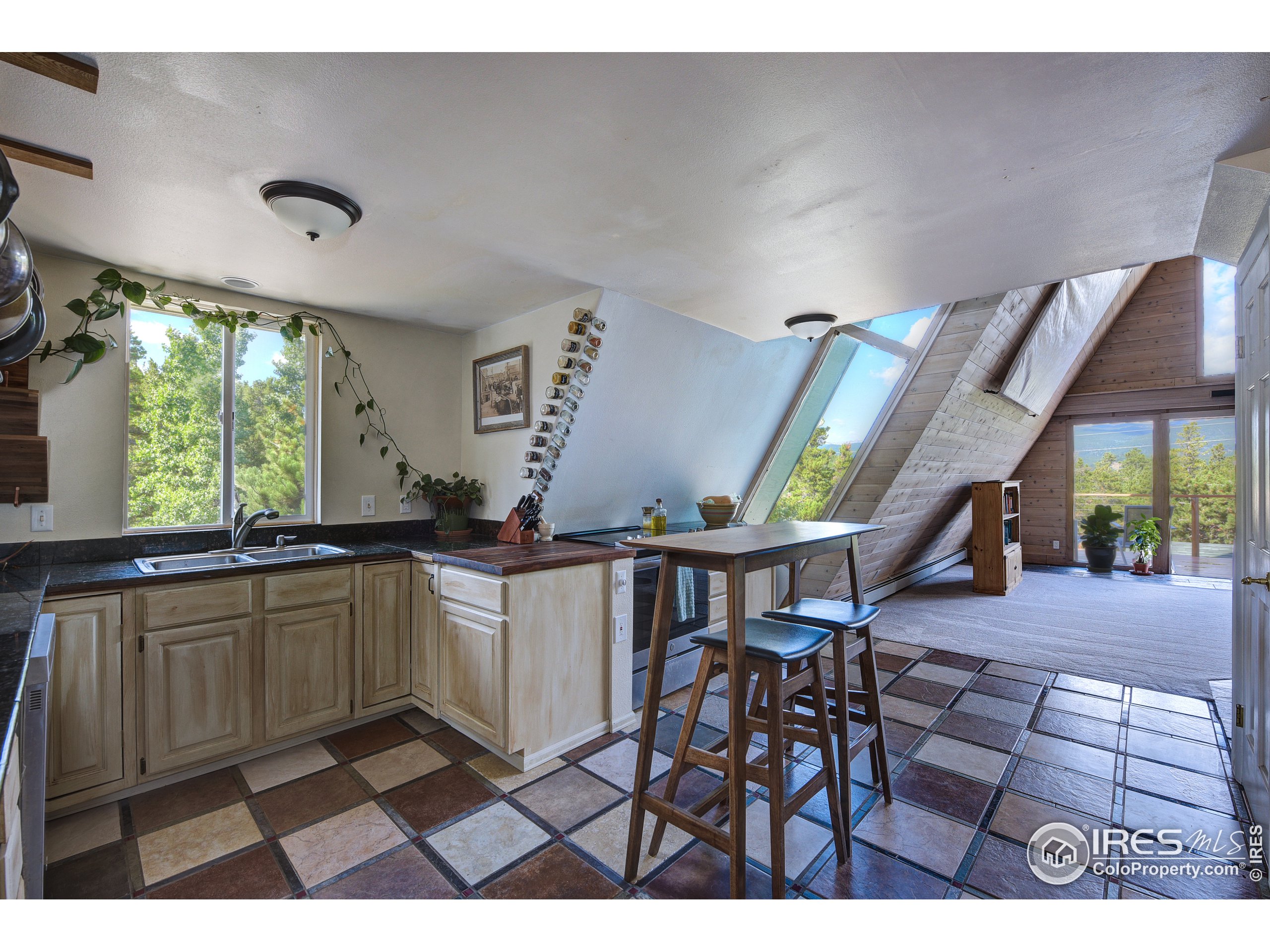 13 Wildewood Drive Nederland, CO 80466 - Photo 5 of 22