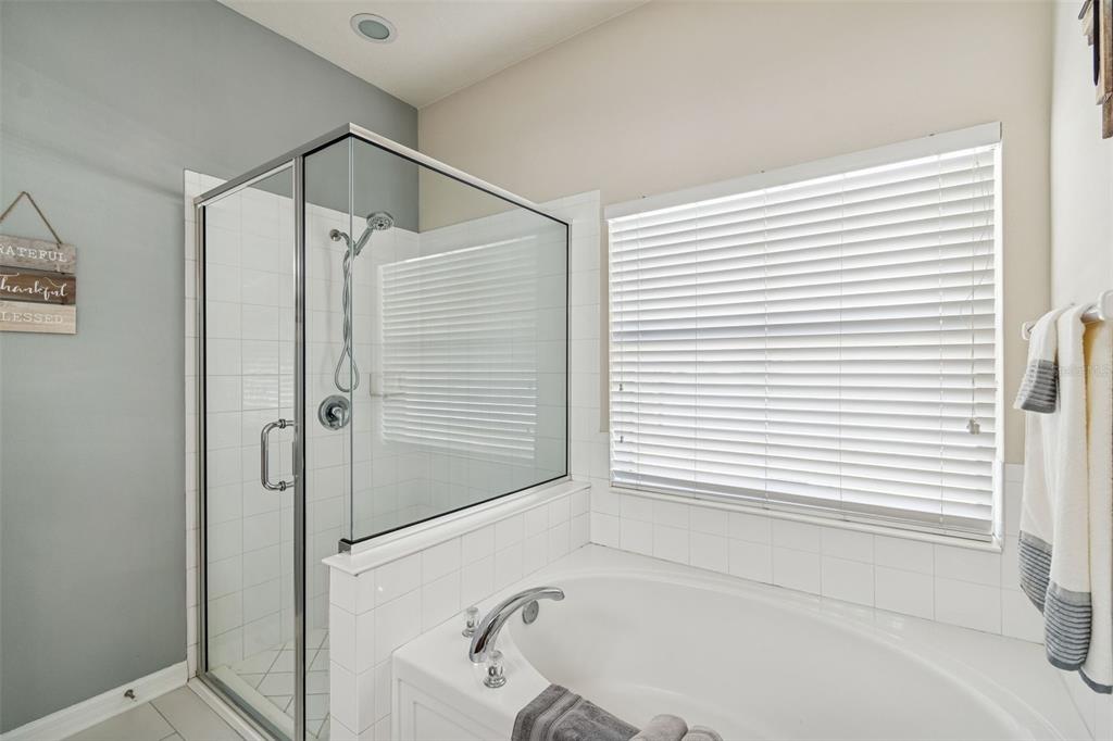 5956 Desert Peace Avenue Land O' Lakes, FL 34639 - Photo 36 of 79 a bathroom with a bathtub and a shower