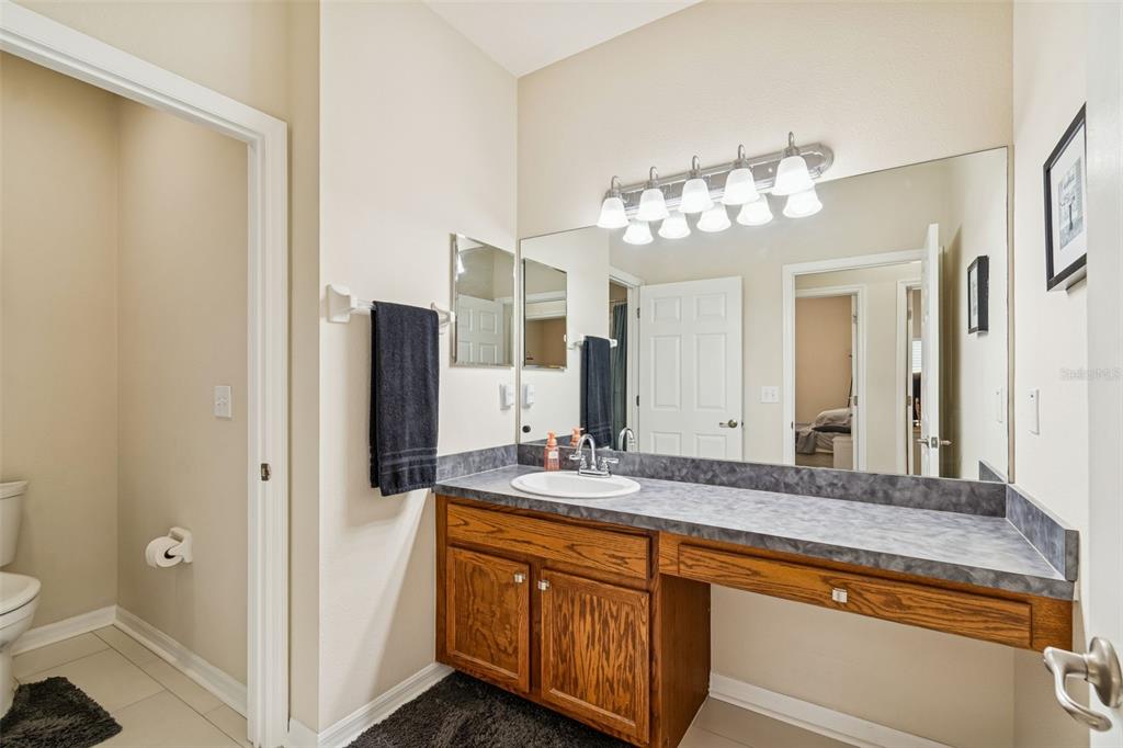 5956 Desert Peace Avenue Land O' Lakes, FL 34639 - Photo 43 of 79