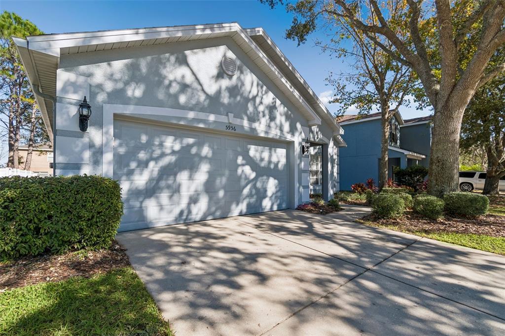 5956 Desert Peace Avenue Land O' Lakes, FL 34639 - Photo 5 of 79