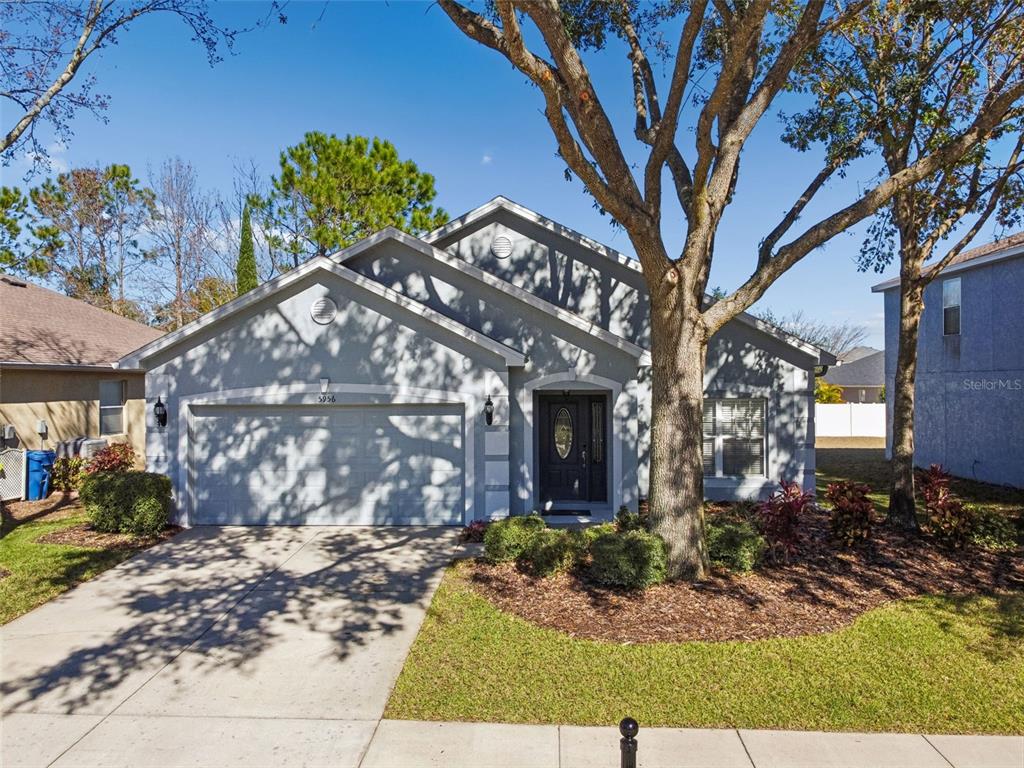 5956 Desert Peace Avenue Land O' Lakes, FL 34639 - Photo 55 of 79 a view of a house with a tree in the background