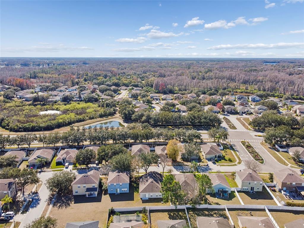 5956 Desert Peace Avenue Land O' Lakes, FL 34639 - Photo 64 of 79 an aerial view of residential houses with city view