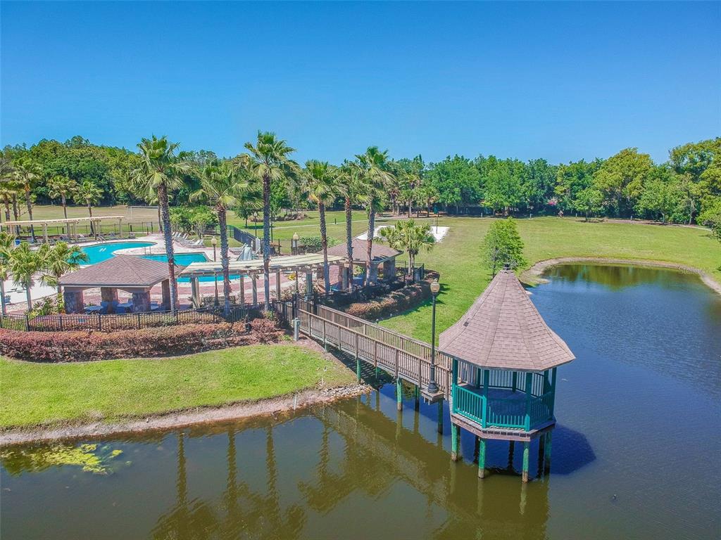 5956 Desert Peace Avenue Land O' Lakes, FL 34639 - Photo 68 of 79