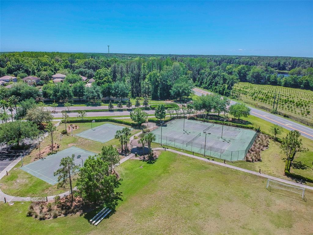 5956 Desert Peace Avenue Land O' Lakes, FL 34639 - Photo 75 of 79 a view of a swimming pool and outdoor space