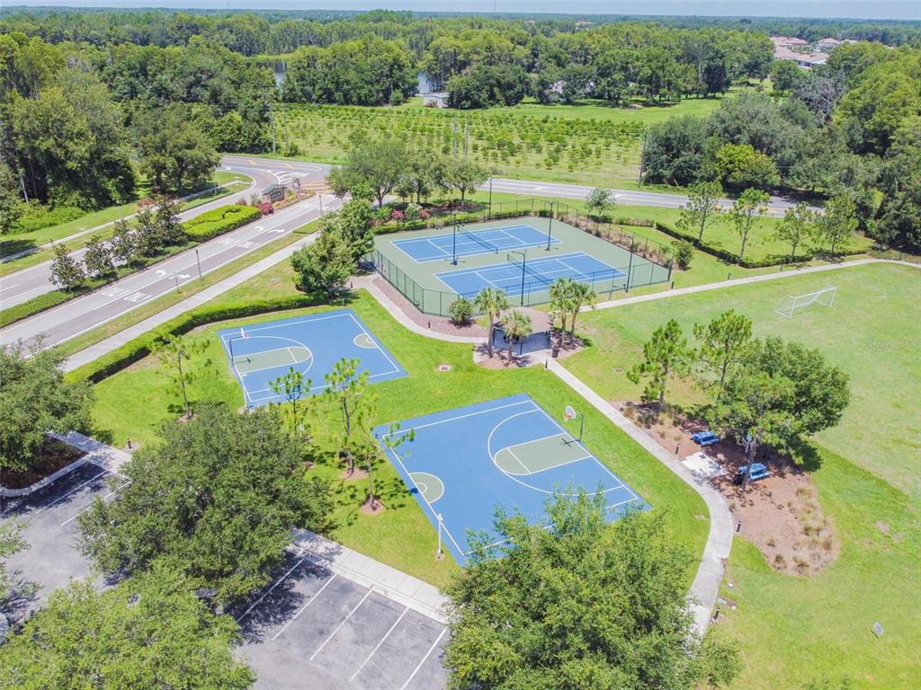 5956 Desert Peace Avenue Land O' Lakes, FL 34639 - Photo 76 of 79