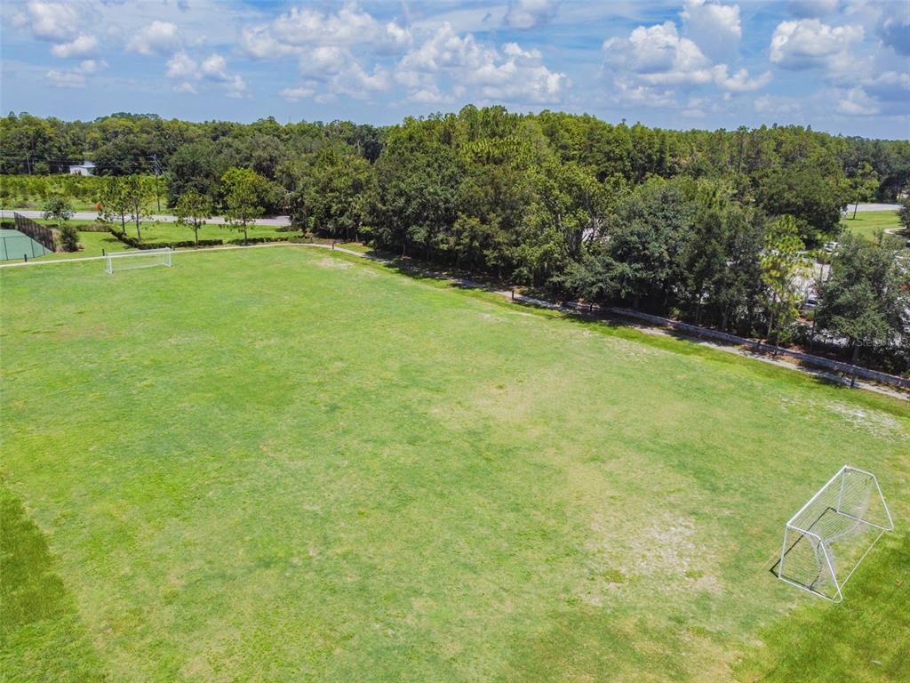 5956 Desert Peace Avenue Land O' Lakes, FL 34639 - Photo 79 of 79 a view of a big yard with a garden