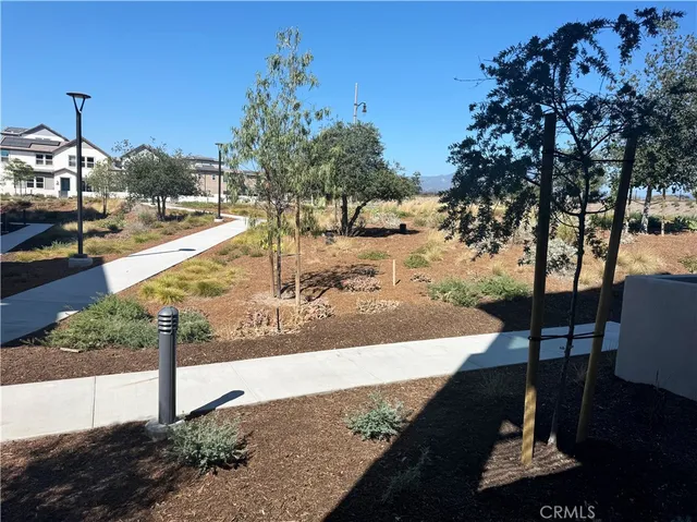 a view of a park with large trees