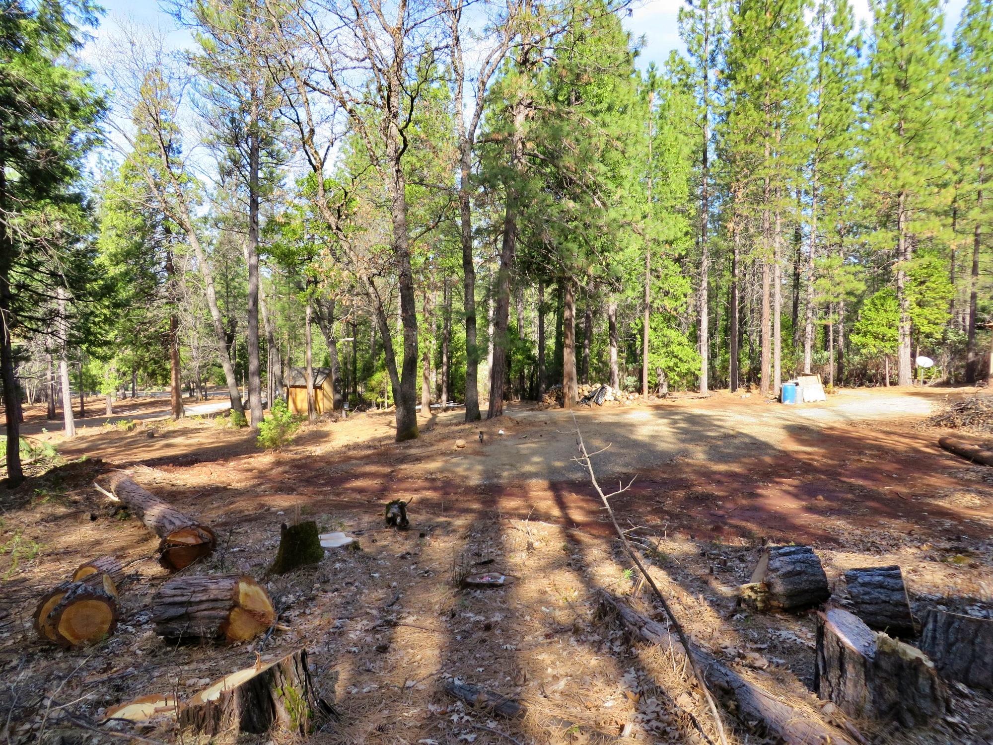 3.89-ac Whitmore Road Whitmore, CA 96096 - Photo 5 of 16 Building Pad and Proposed Leach Field