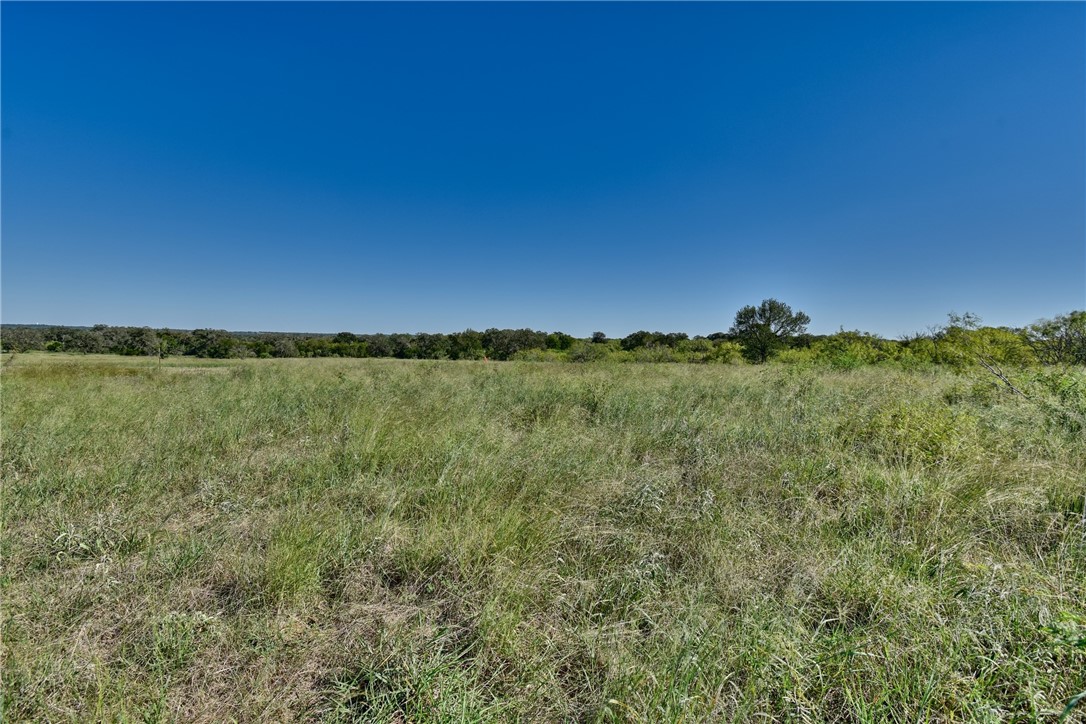 111 Starlight Path Red Rock, TX 78662 - Photo 1 of 1