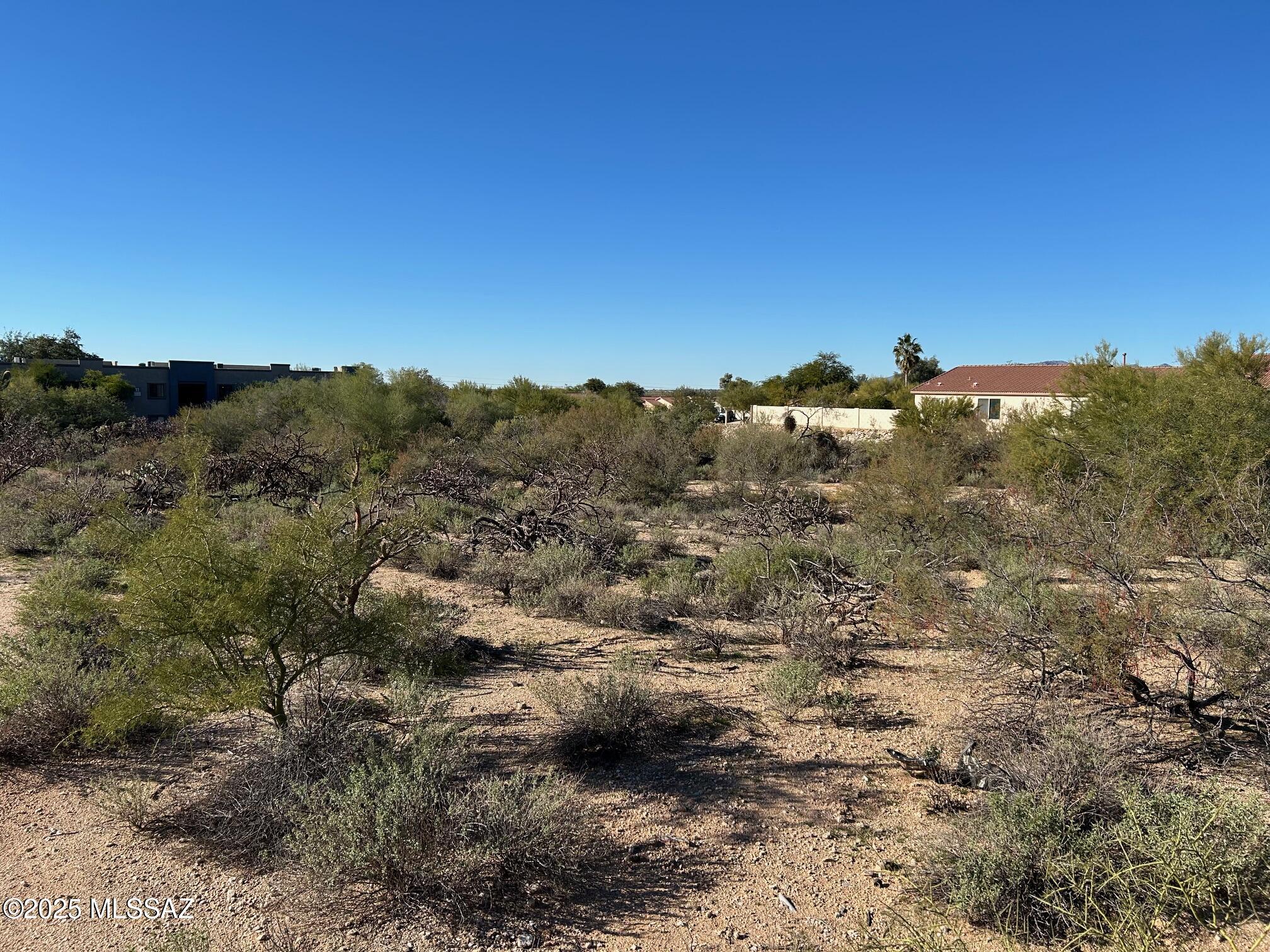 North Oracle Road, Unit 22516 Tucson, AZ 85704 - Photo 8 of 10 a view of a yard