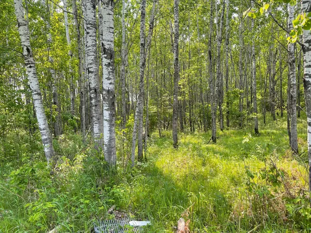 $59,000 | 8017 North Savanna Road, Floodwood, MN 55736